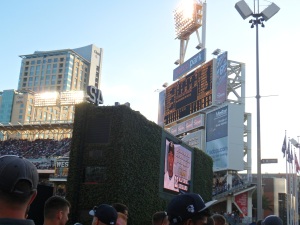 View from the street area in the outfield